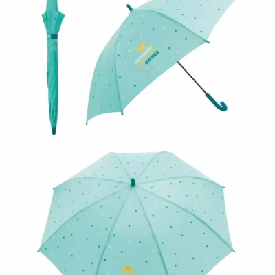 Paraguas de Mister Wonderfoul